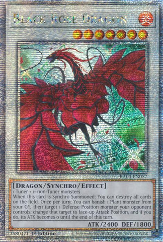 Black Rose Dragon (Alternate Art) [RA04-EN057] Quarter Century Secret Rare